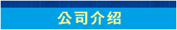 公司介绍